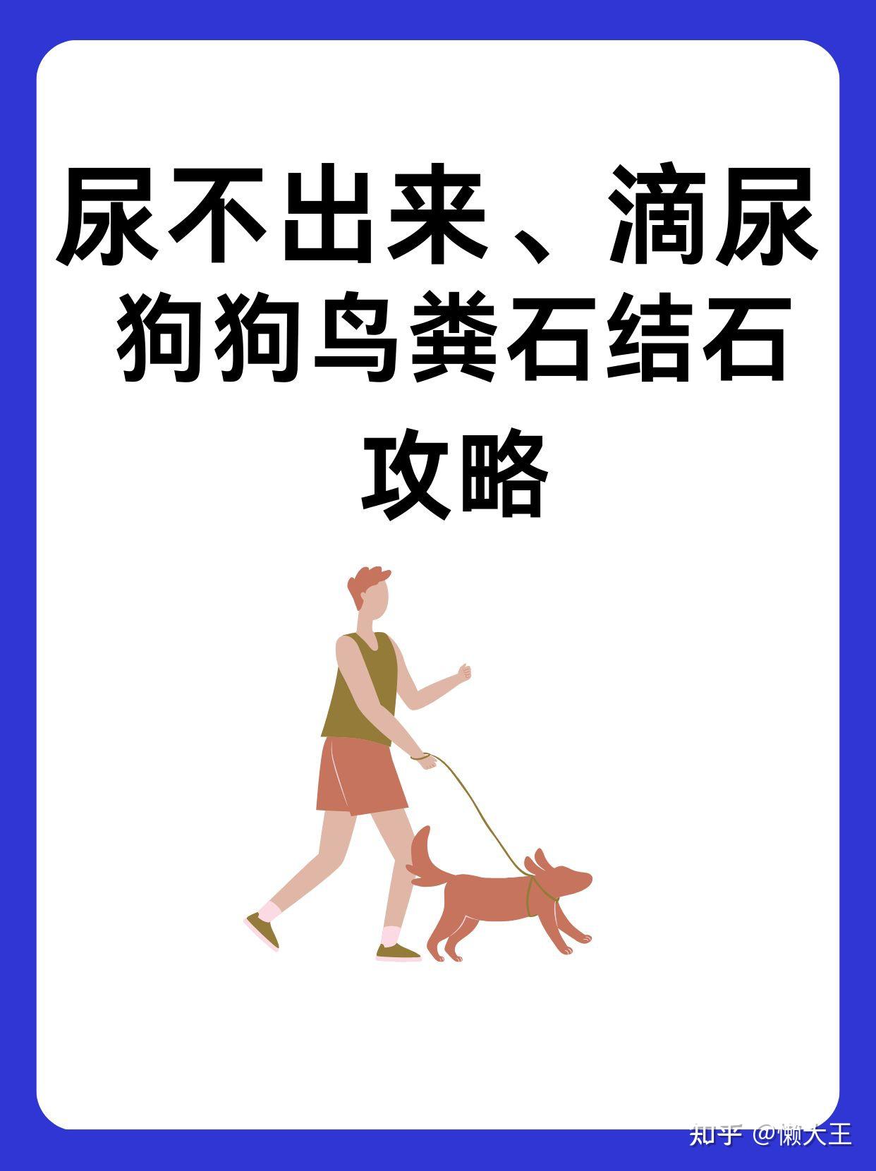 尿不出来滴尿狗狗鸟粪石结石攻略
