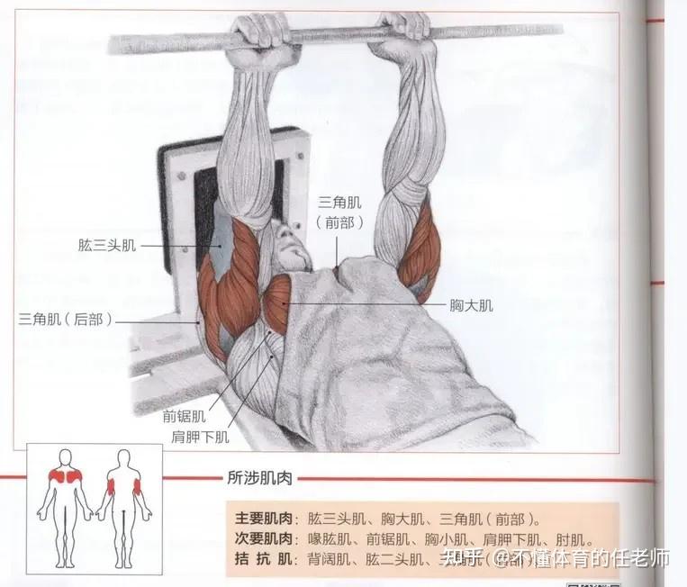 平板杠铃卧推:动作要领与解析 - 知乎