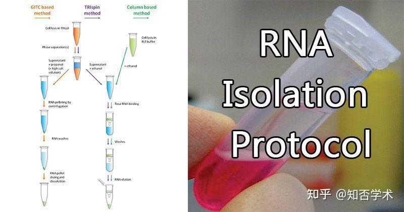 RNA提取原理与详细步骤 - 知乎