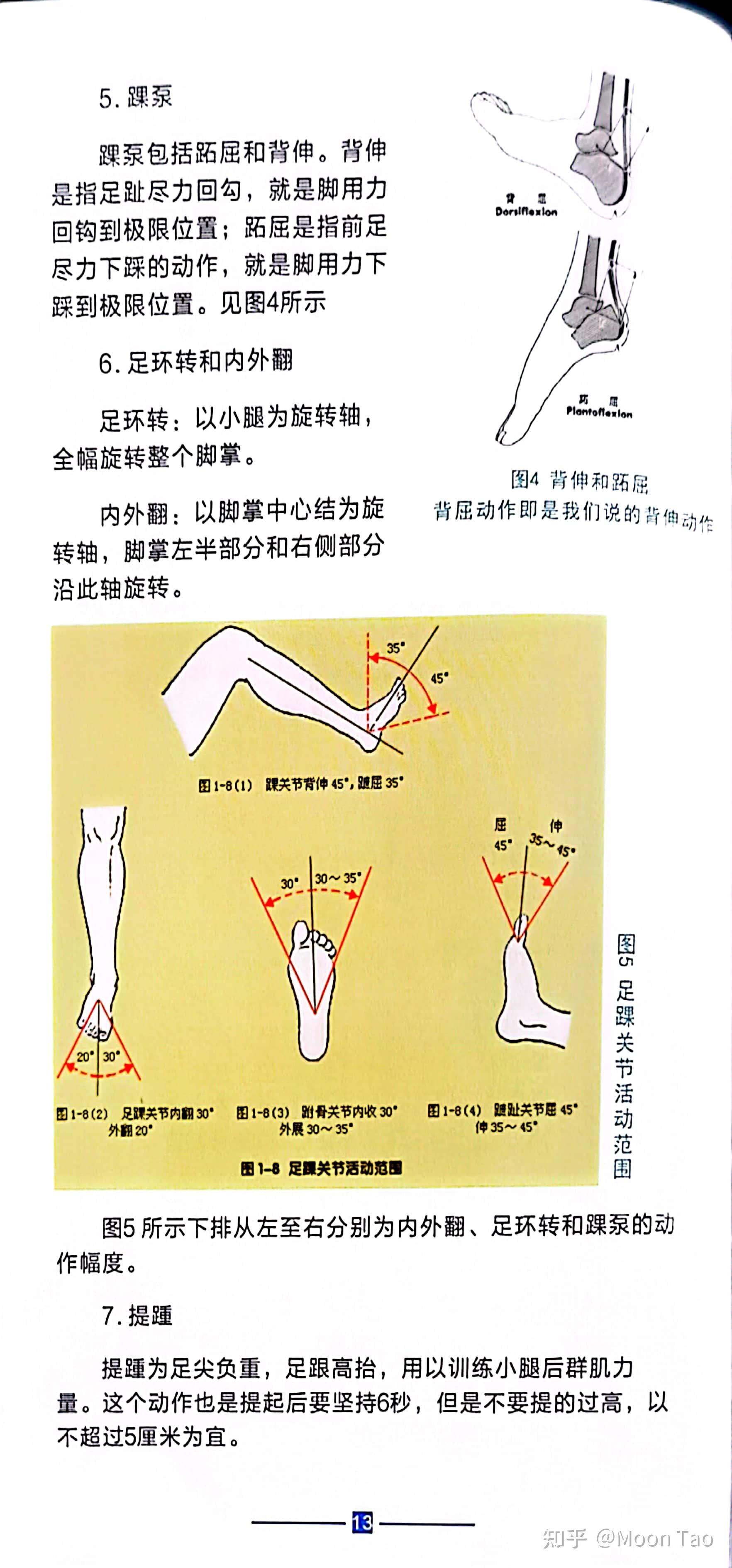 跖屈和背伸图片