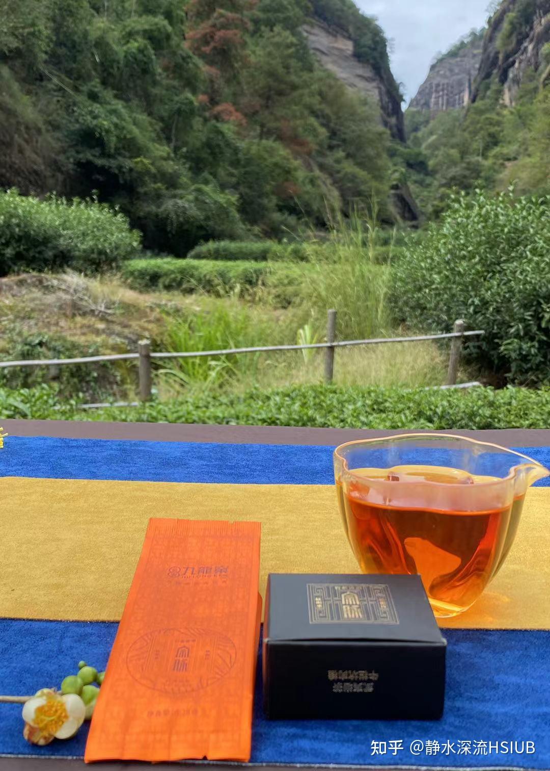 武夷九龙窠岩茶为何称为岩茶