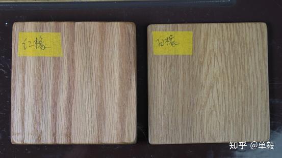 上面提到了蒙古栎,还提到了红橡和白橡.