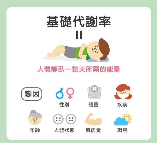 認識我們的基礎代謝率