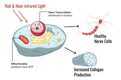护肤黑科技光疗护肤