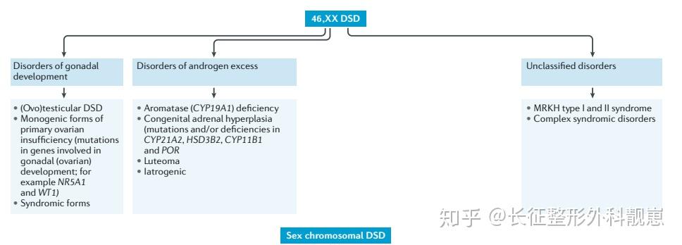 《性别畸形》科普三 知乎
