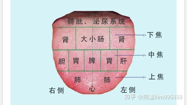 转 舌像辨症状 - 知乎