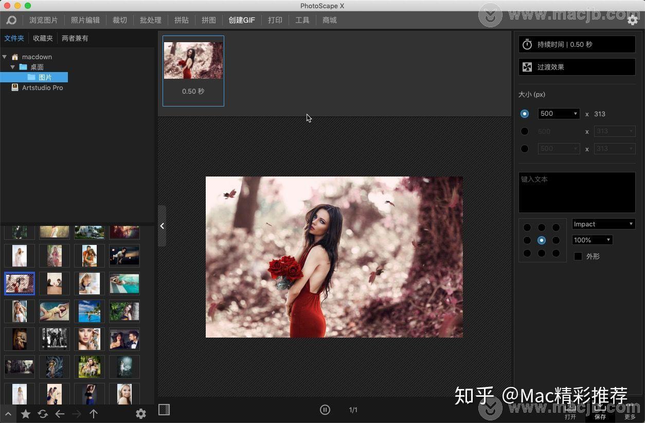 photoscapexpro照片处理编辑工具