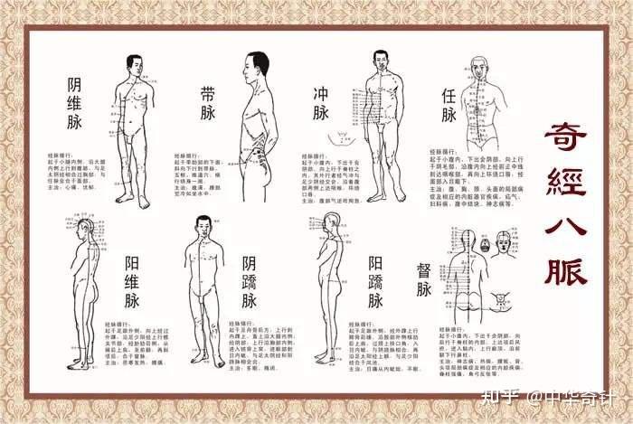 中医的经络学说