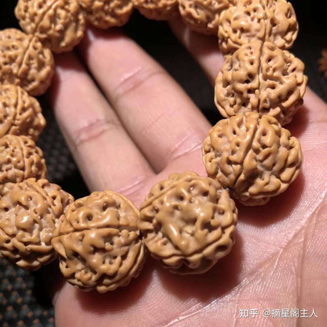 怎么区分金刚菩提和落地红?