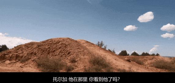 《相信我:假先知真面目》豆瓣8.4,这部纪录片看的人毛骨悚然