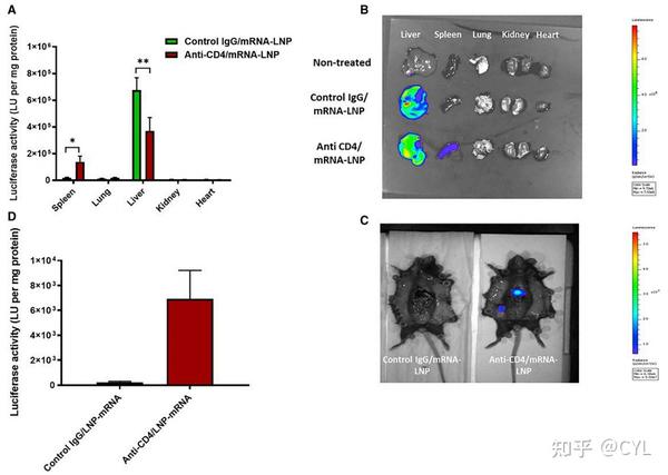 【文献翻译】使用工程化CD4+细胞归巢mRNA-LNPs的高效CD4+ T细胞靶向和基因重组 - 知乎