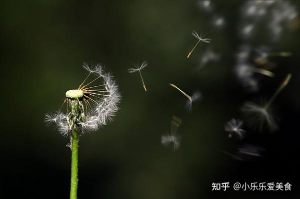 北京十大律师事务所最新排名 知乎 1808