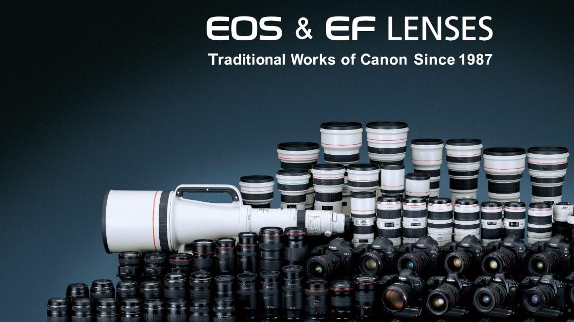 佳能rf1200mmf8lisusm镜头曝光