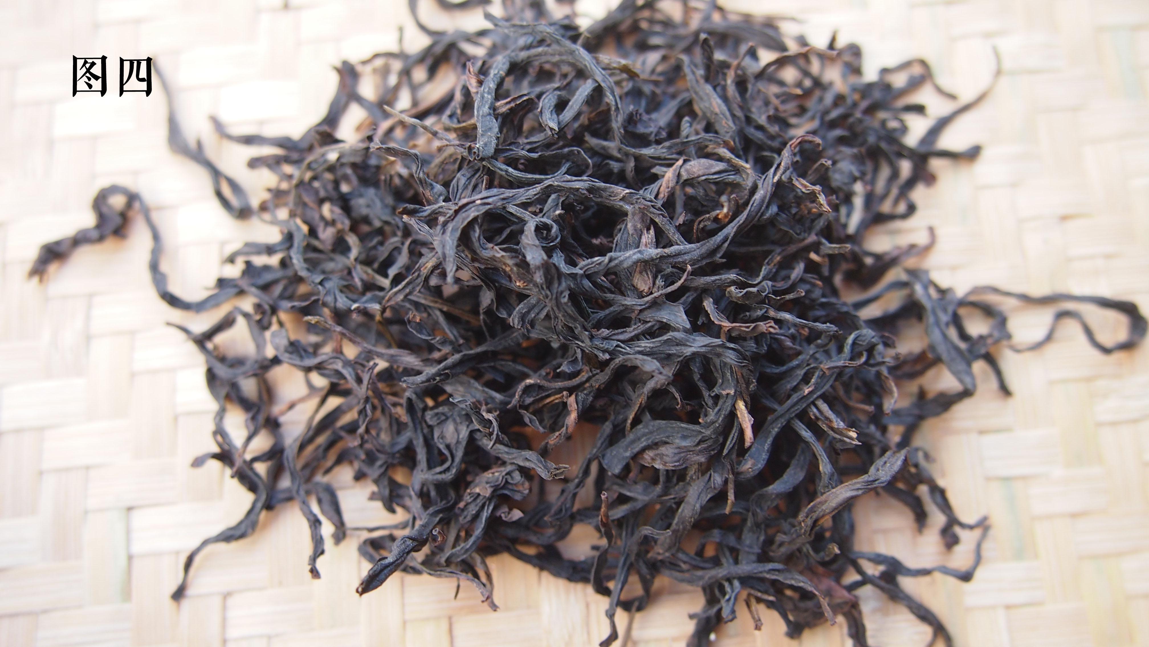 浅谈凤凰单丛之蜜兰香