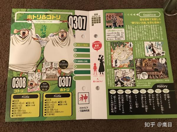 Talkop汉化 海贼王资料集生命卡one Piece图鉴全图翻译 1904空岛 Ph岛 知乎