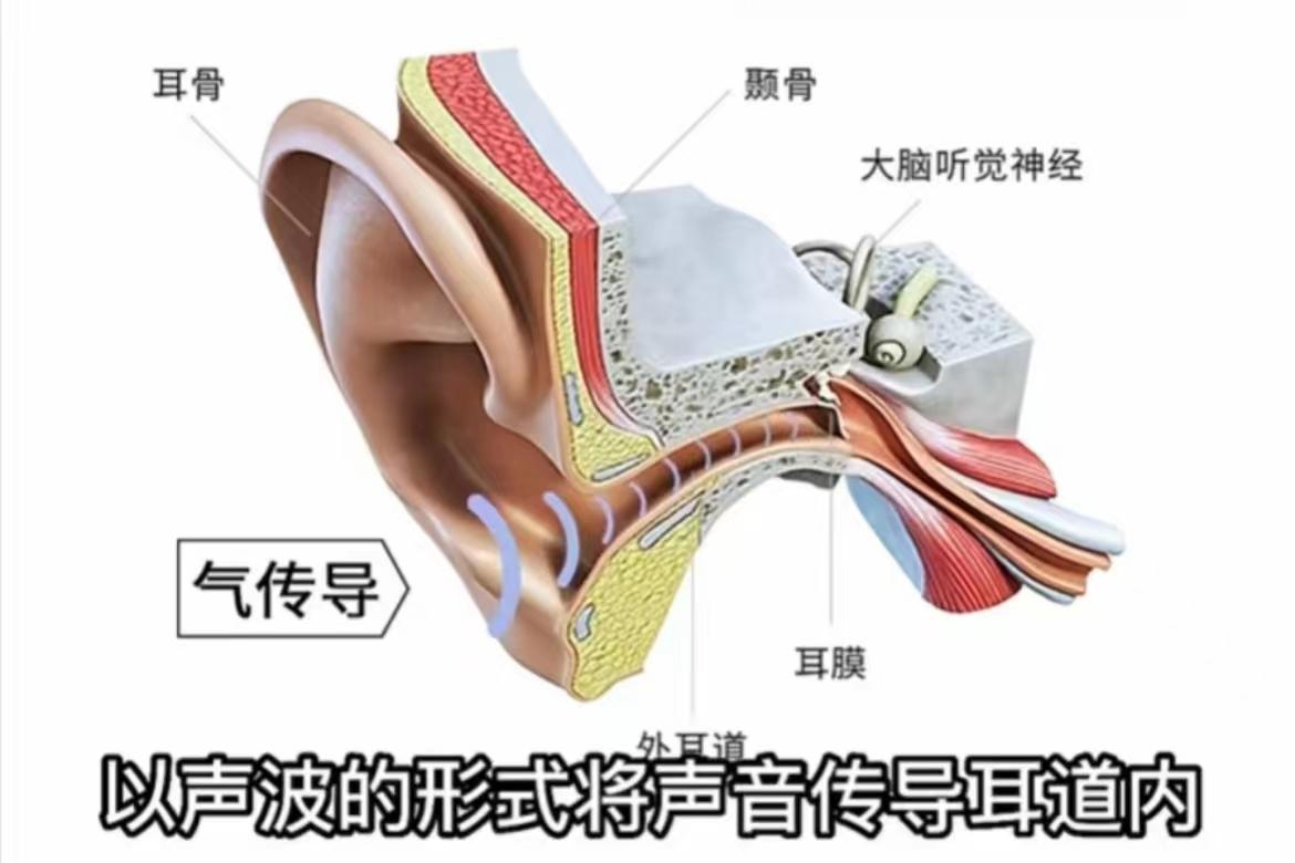 掛耳式,這些形式的耳機採用的就是空氣傳播,以聲波的形式引起鼓膜振動