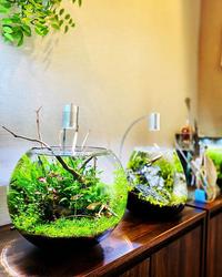 水草生态缸的详细建缸基础流程 二 配套设备的选配 知乎