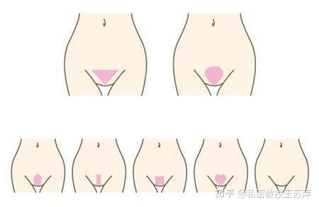 女性私密阴毛都长什么样子 知乎