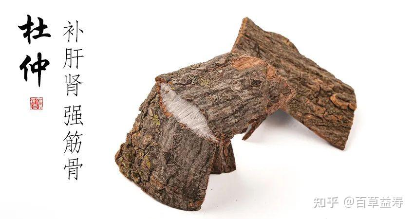 百草益寿:中医眼里的腰痛强效药,风湿腰痛腰肌劳损都能治 - 知乎