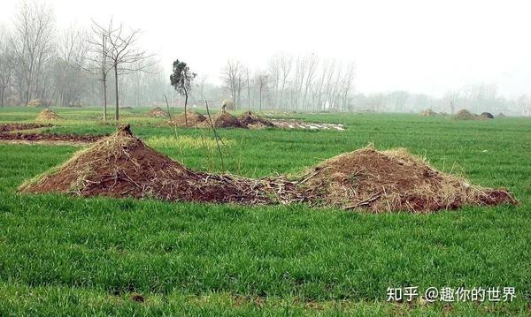 土葬佔用地要被火葬取代農村大爺燒過再埋墳火葬哪點好