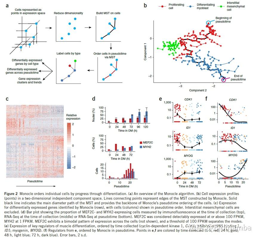 拟时序分析神包—monocle的三篇《Nature》 - 知乎