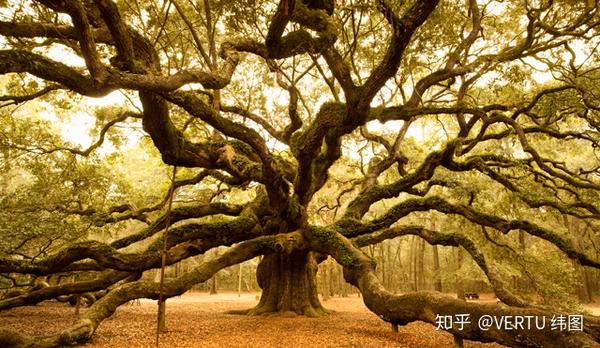 这些代表英国的符号你知道多少? - 知乎