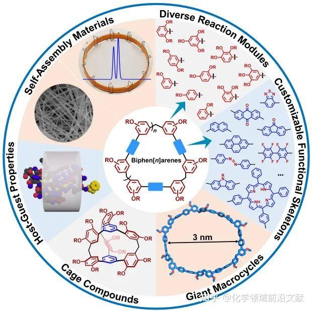 天津师范大学李春举Acc. Chem. Res. 综述：联苯[n]芳烃的模块化合成、可定制的空腔尺寸和丰富骨架功能 - 知乎