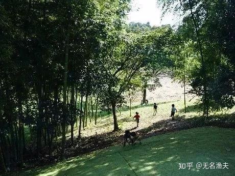 迷你农场攻略