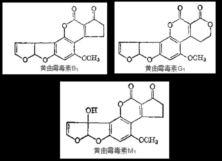 黄曲霉素(aft)是黄曲霉和寄生曲霉等某些菌株产生的双呋喃环类毒素.