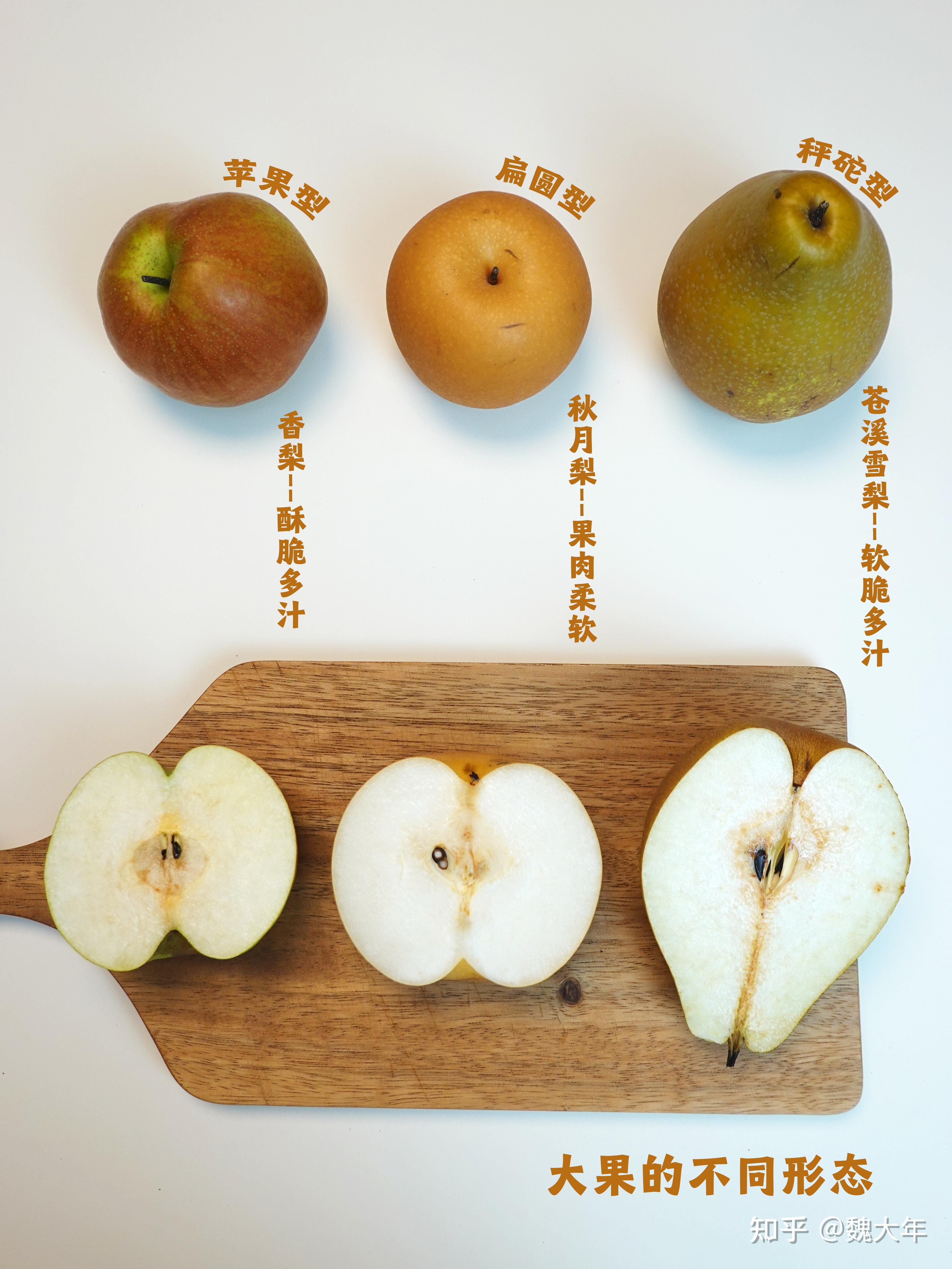 梨合集丨7个不同产地的梨测评(口感、风味、吃法) - 知乎