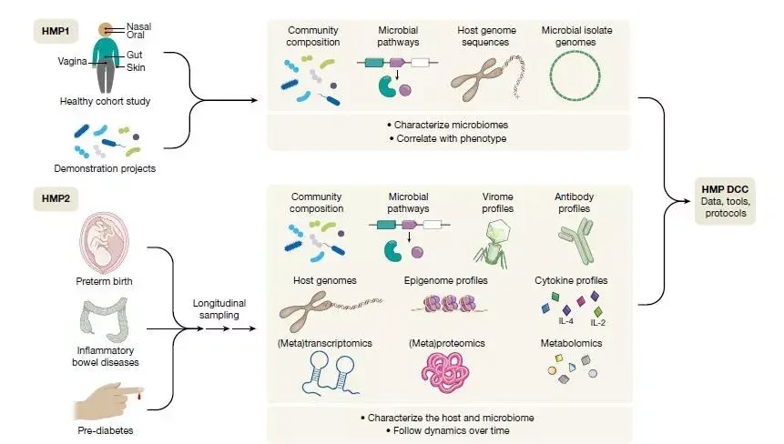 今日自然封面十多年跑到新终点人类微生物组学研究公布三项成果