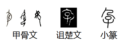孕字甲骨文从身从子,也有从女从人的,或只有一个大腹女的,皆像有孕之