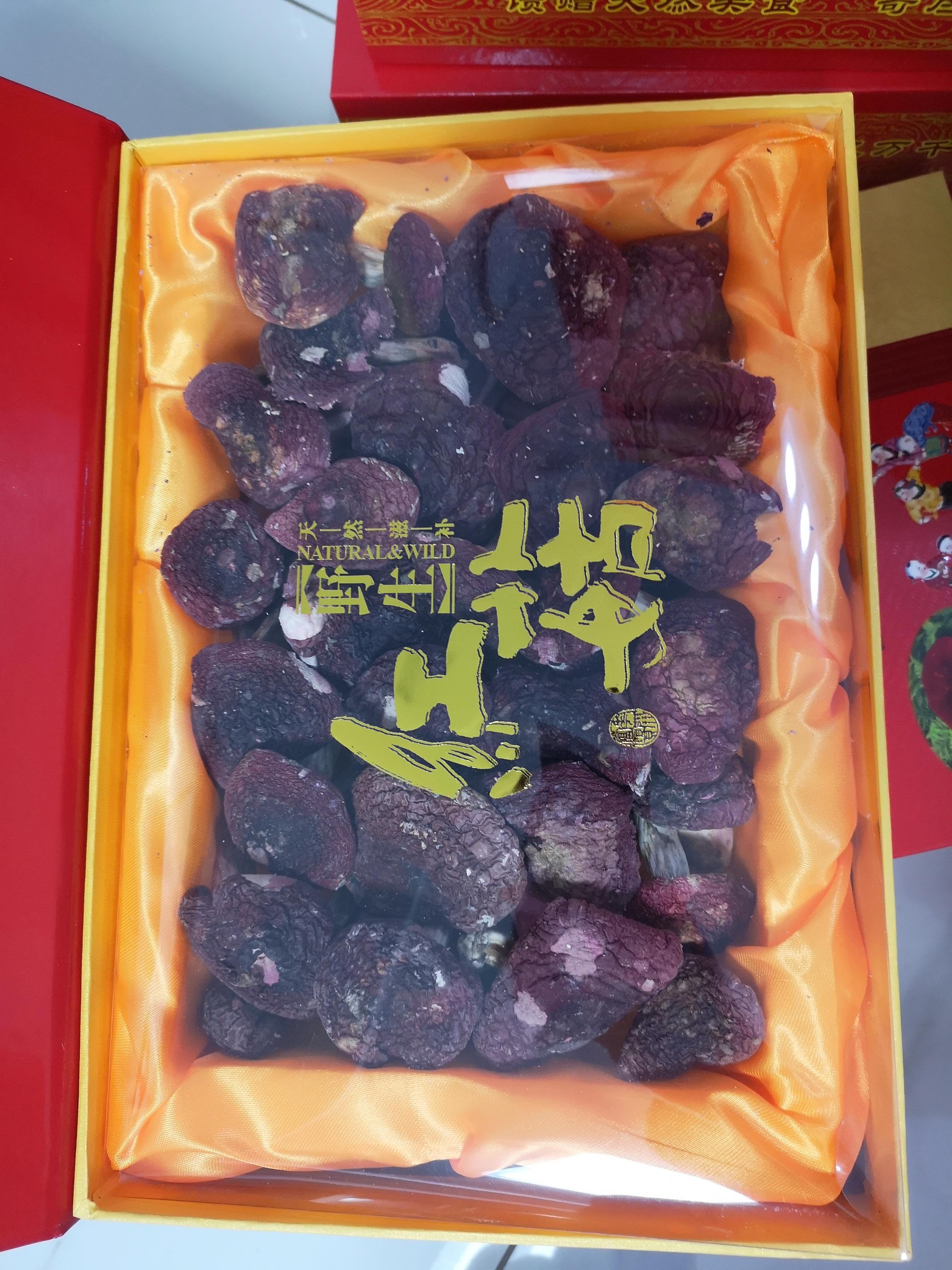 红菇娘与蓝天仙--中国数字科技馆