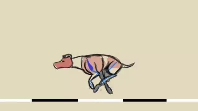 四足动物循环动画怎么做?给你一篇超透彻的教程