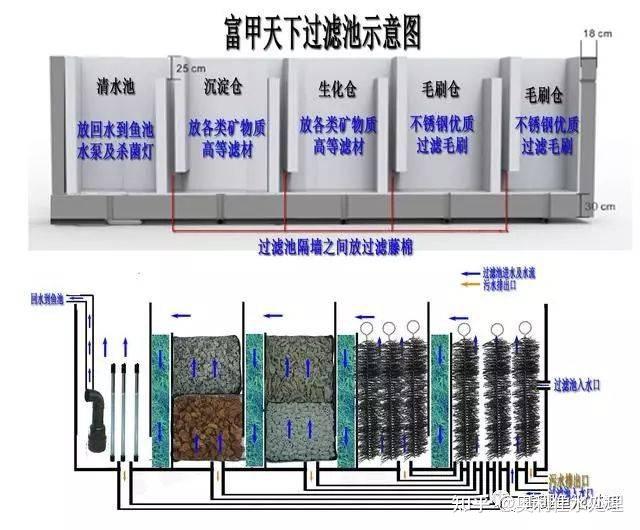 鱼缸沉淀仓原理图解图片