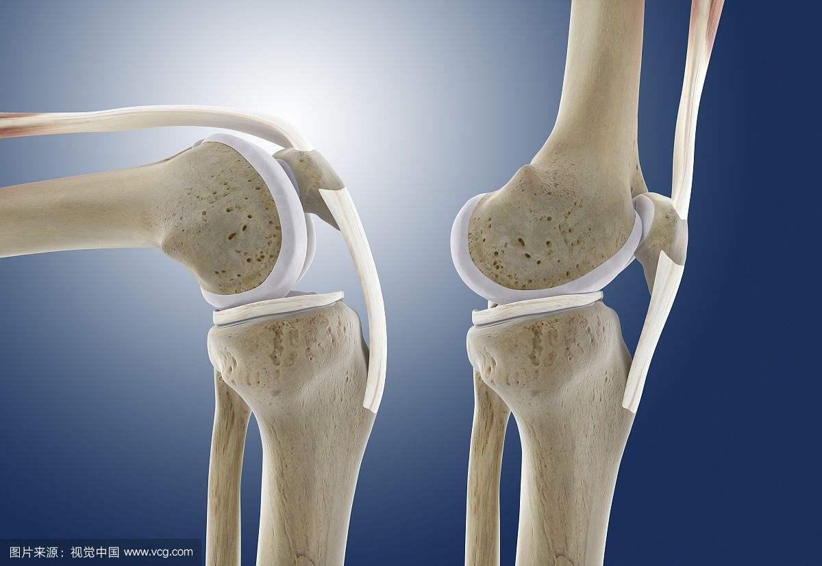 正常膝关节正侧位X线解剖 - 知乎