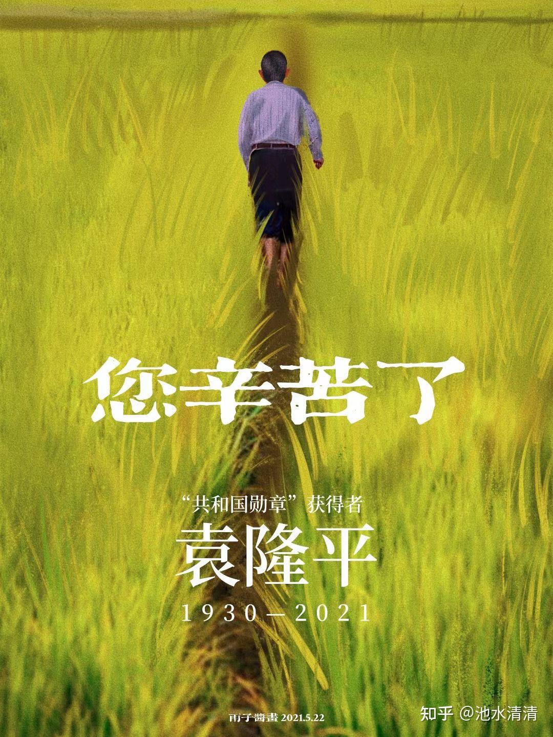 沉痛哀悼袁隆平爷爷,您一路走好 - 知乎