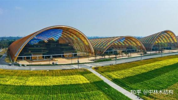 大跨木结构潜力无限，多样结构形式让城市建筑拥有更多可能 - 知乎