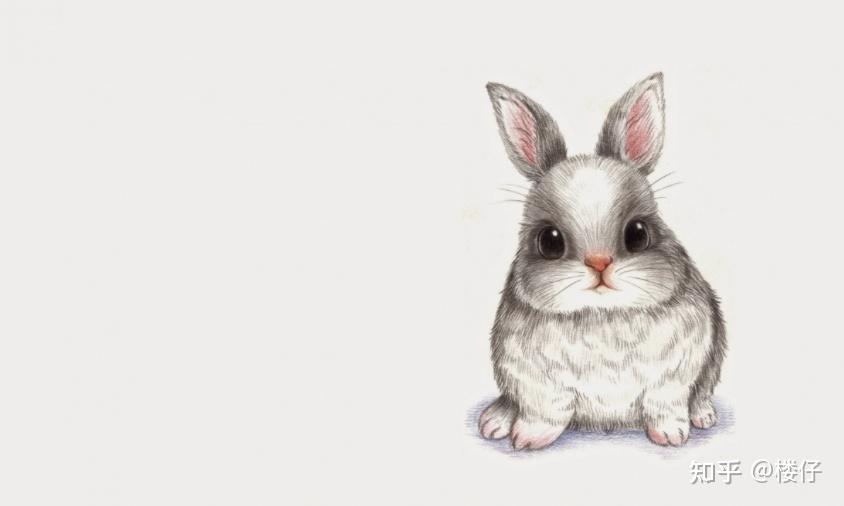 入门RabbitMQ，这一篇绝对够！ - 知乎