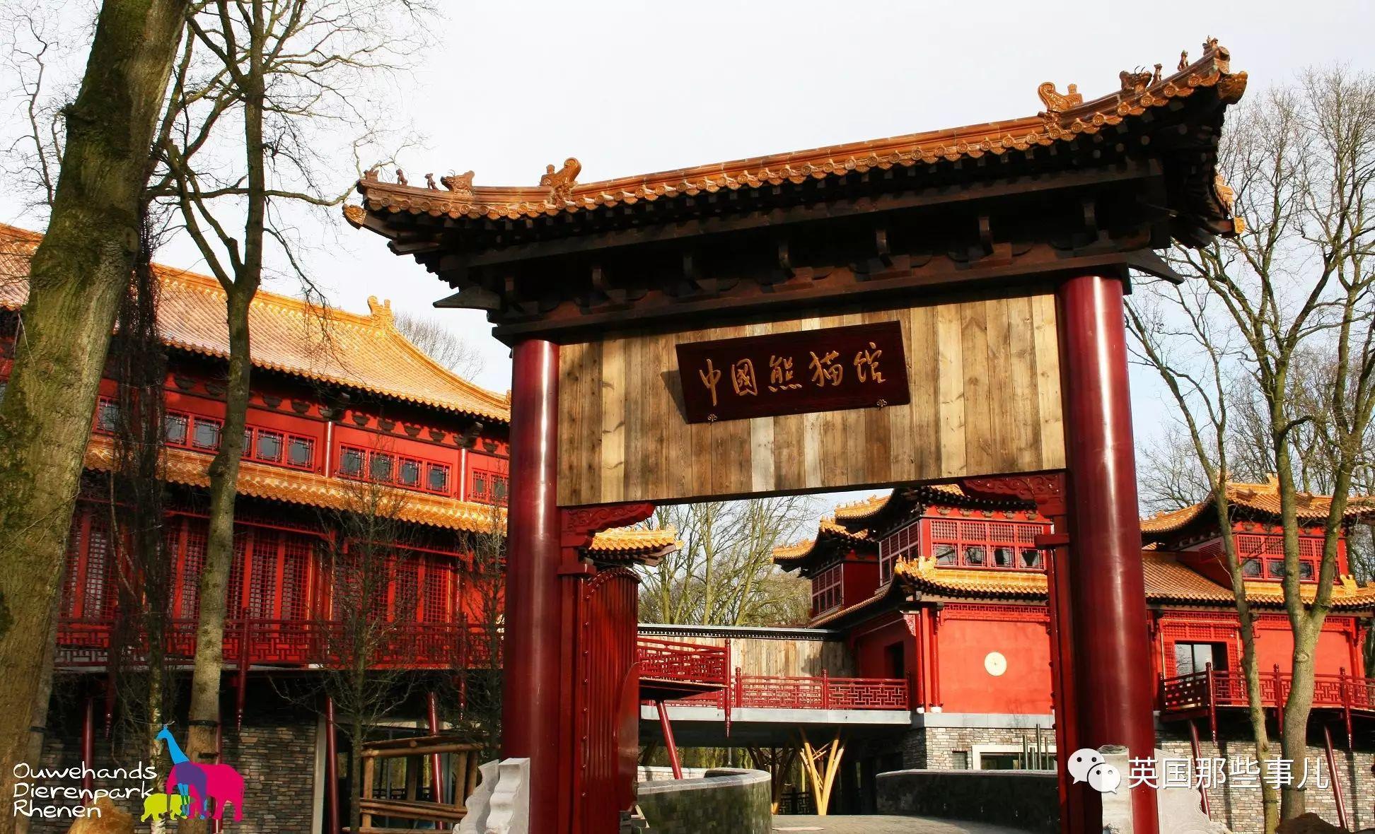 为了把中国这俩熊猫皇帝请来荷兰人真是使出了洪荒之力
