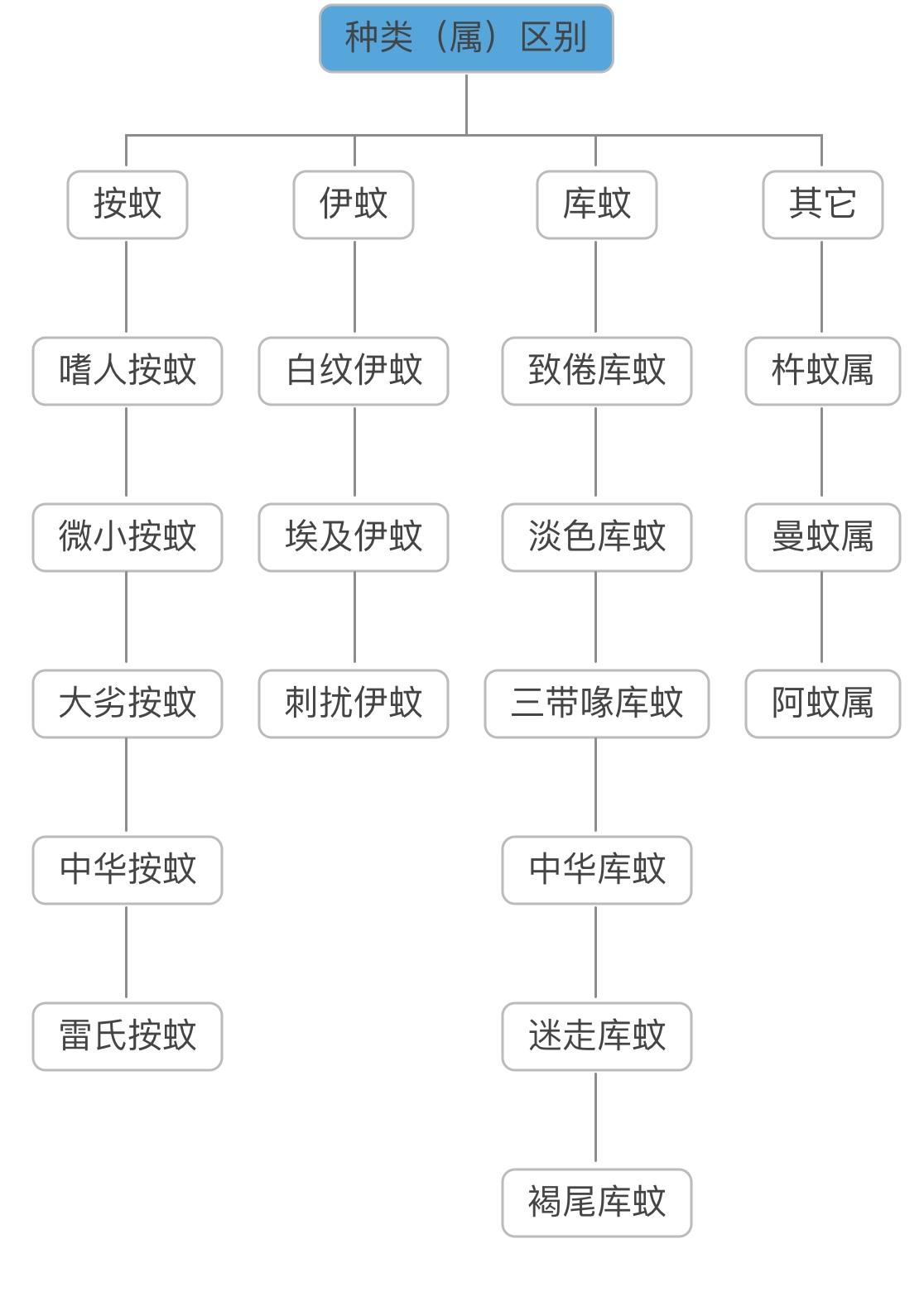 疟蚊和普通蚊子的区别图片