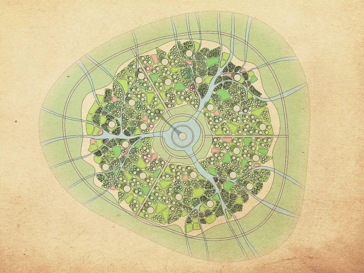 城市的组织结构会经历从向心式(单中心)到分布式(多中心)的演变发展