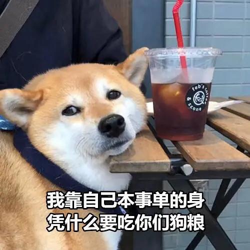 v2-dddd9bb19cac7f79ce7d24c50f44d642_r.jpg