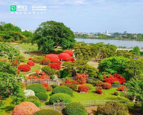 东京有哪些你不知道的隐秘景点 知乎