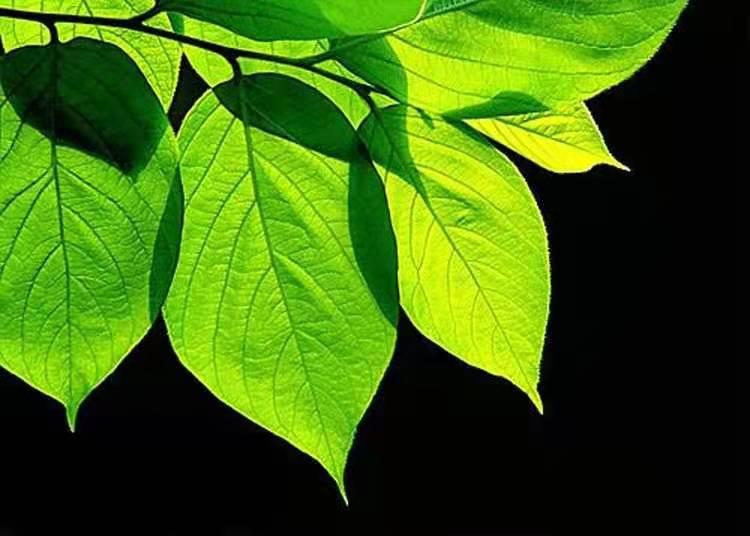 摄影专业干货 | 关于“光的艺术”,你都了解吗? - 知乎