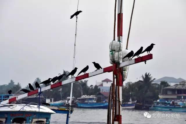 参加LeanIn国际义工旅行之后的收获有什么呢,