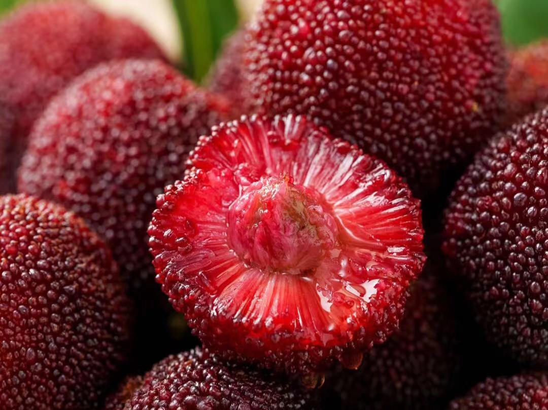 且杨梅中含有花青素,该成分有抗氧化能力,因此杨梅有美容养颜的功效