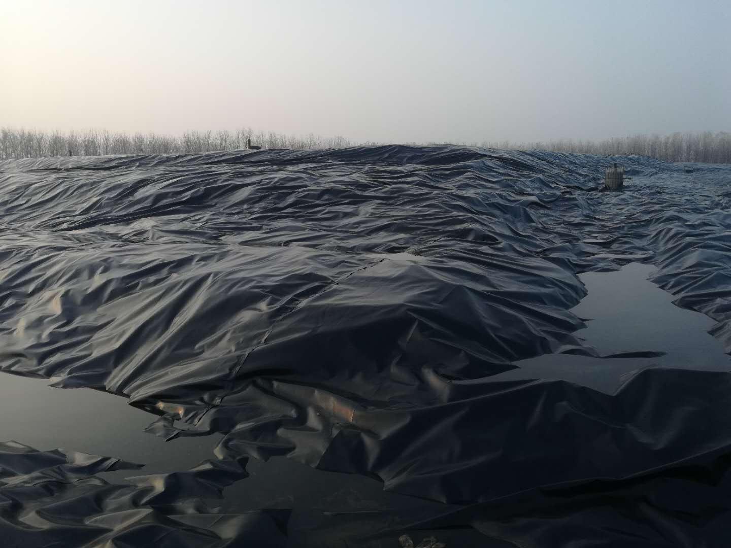 10mm土工膜防渗膜鱼塘养殖膜生产厂家