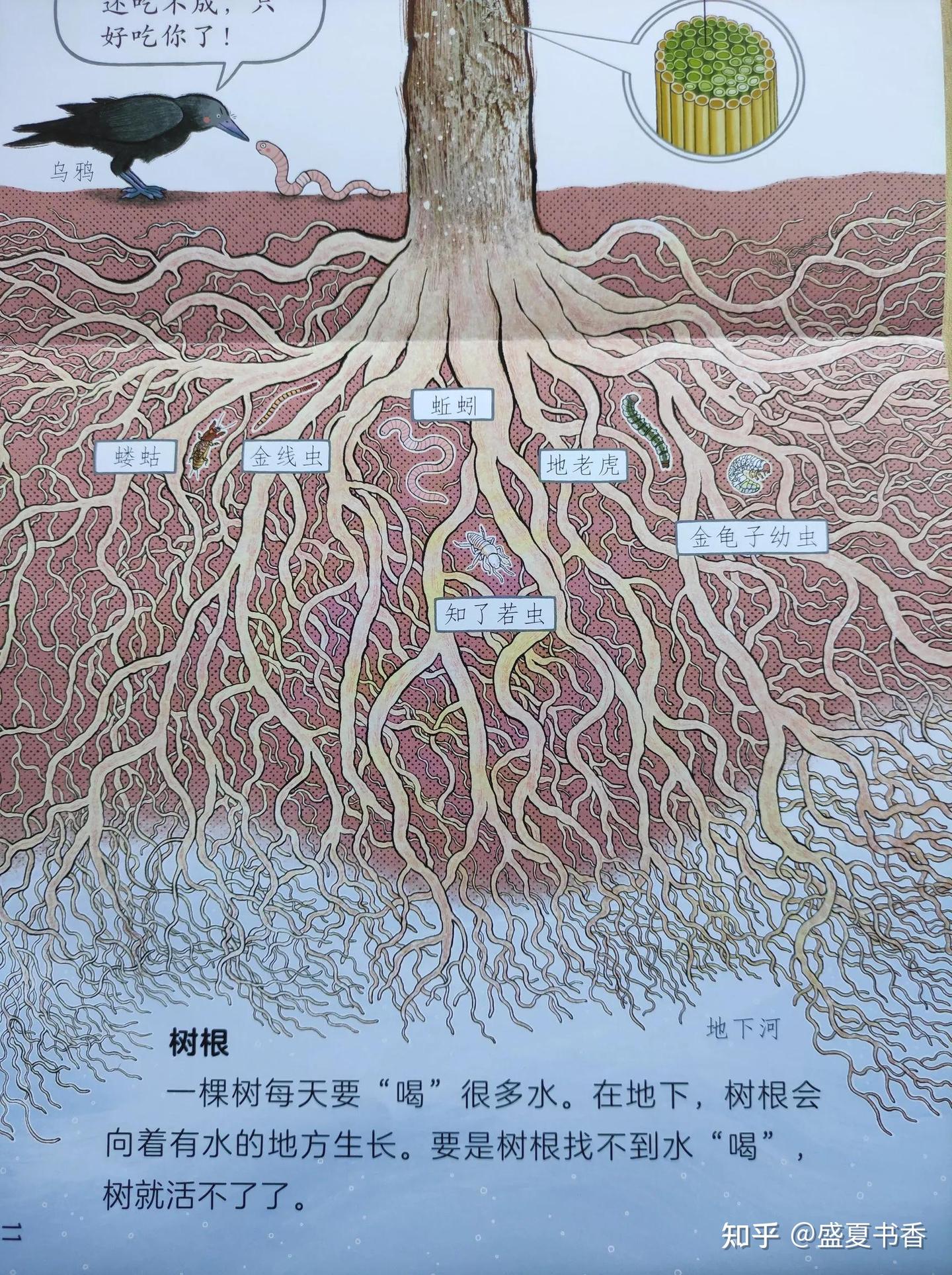 《小羊上山6》值得买吗? - 知乎
