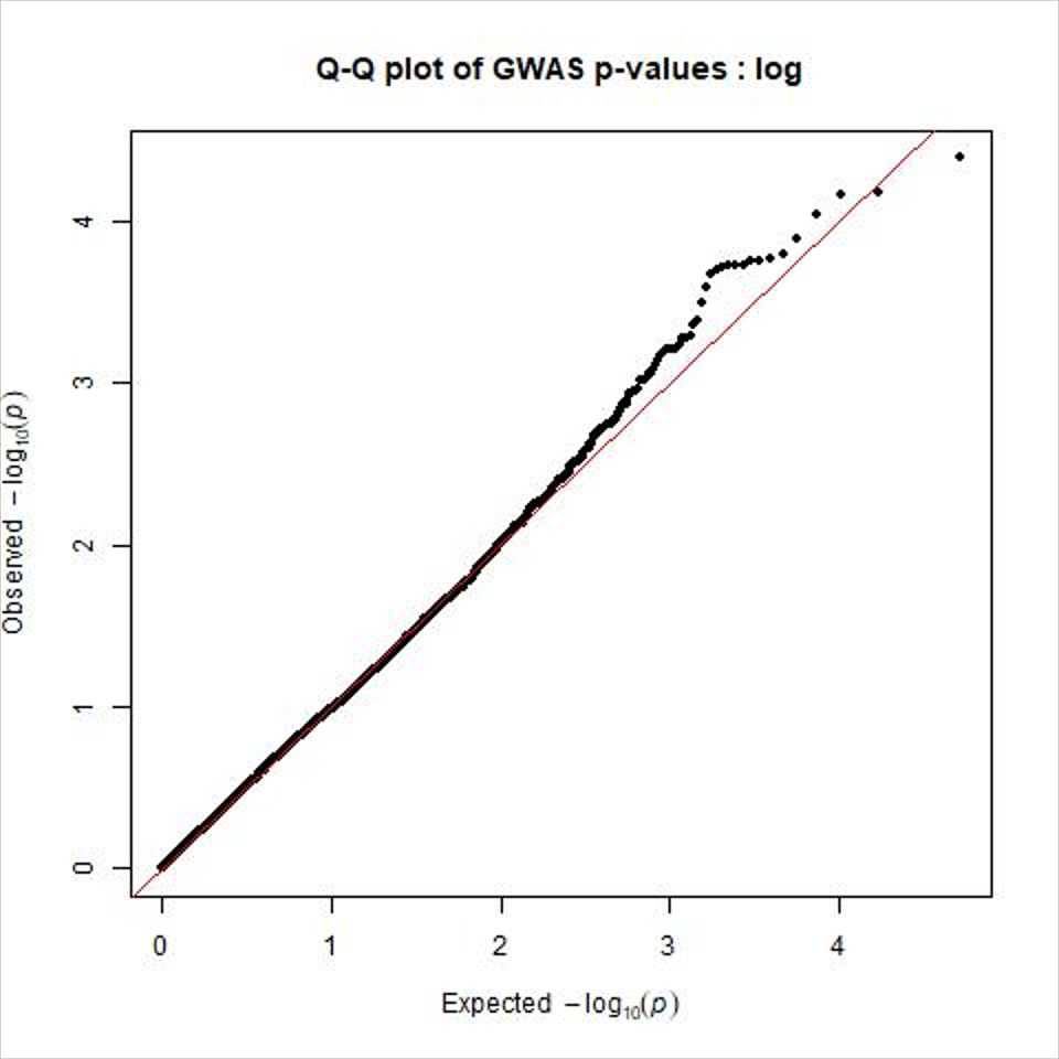 Gwas qq 
